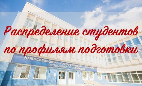 Распределение студентов НГУЭУ по профилям подготовки1113.jpg Распределение студентов НГУЭУ по профилям подготовки1113.jpg